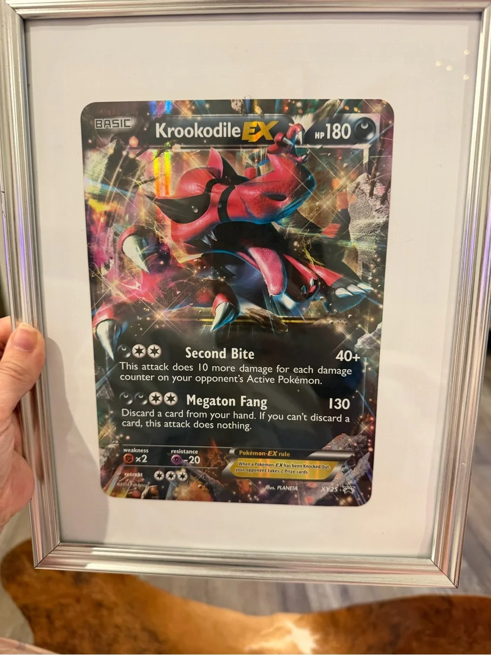 Pokemon Krookodile EX Holo Red Black Trading Card